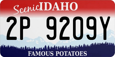 ID license plate 2P9209Y