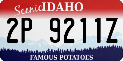 ID license plate 2P9211Z