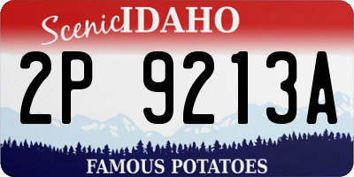 ID license plate 2P9213A