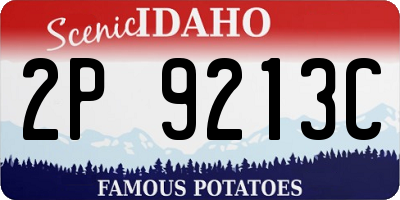 ID license plate 2P9213C