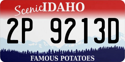 ID license plate 2P9213D