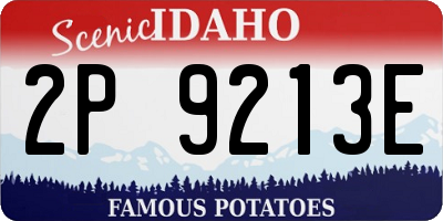 ID license plate 2P9213E