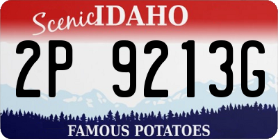 ID license plate 2P9213G