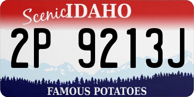 ID license plate 2P9213J