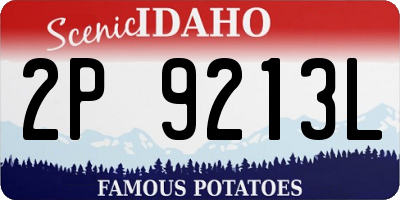 ID license plate 2P9213L