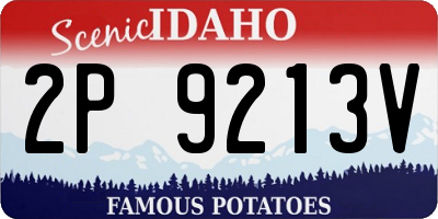 ID license plate 2P9213V