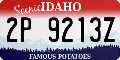 ID license plate 2P9213Z
