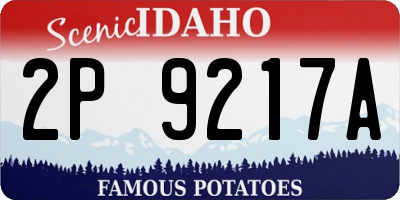 ID license plate 2P9217A