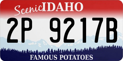 ID license plate 2P9217B