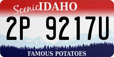 ID license plate 2P9217U