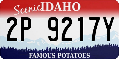 ID license plate 2P9217Y