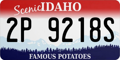 ID license plate 2P9218S