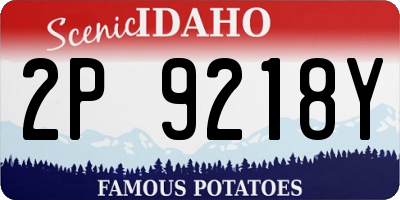 ID license plate 2P9218Y