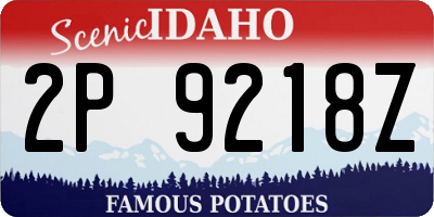ID license plate 2P9218Z