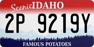 ID license plate 2P9219Y