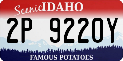 ID license plate 2P9220Y