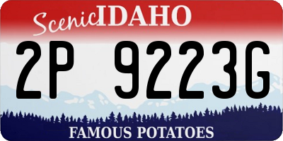 ID license plate 2P9223G