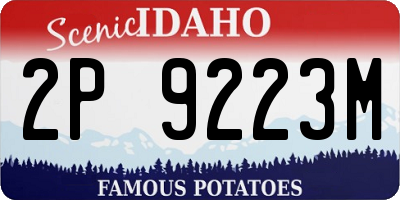 ID license plate 2P9223M