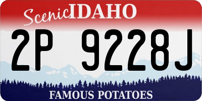 ID license plate 2P9228J