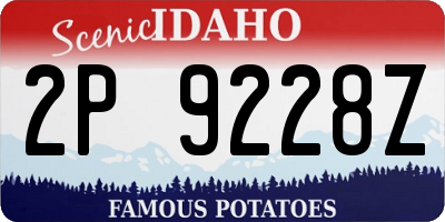 ID license plate 2P9228Z