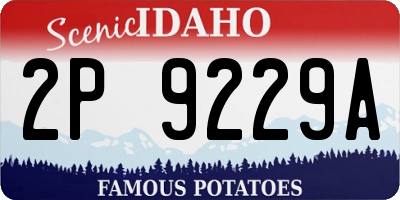 ID license plate 2P9229A