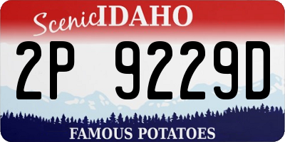 ID license plate 2P9229D