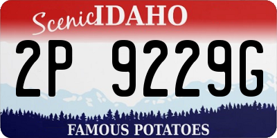 ID license plate 2P9229G
