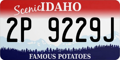 ID license plate 2P9229J