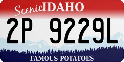 ID license plate 2P9229L