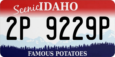 ID license plate 2P9229P