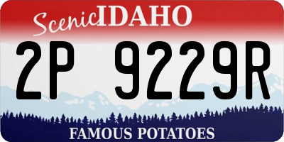 ID license plate 2P9229R