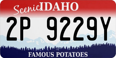 ID license plate 2P9229Y