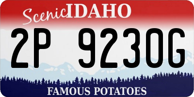 ID license plate 2P9230G