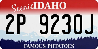 ID license plate 2P9230J
