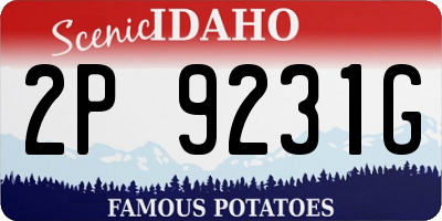 ID license plate 2P9231G