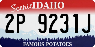 ID license plate 2P9231J