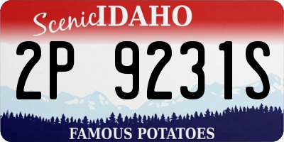 ID license plate 2P9231S