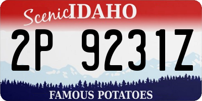 ID license plate 2P9231Z