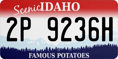 ID license plate 2P9236H