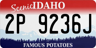 ID license plate 2P9236J
