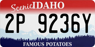 ID license plate 2P9236Y