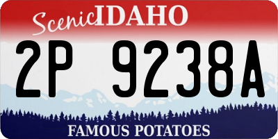 ID license plate 2P9238A