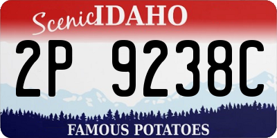 ID license plate 2P9238C