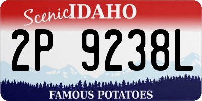 ID license plate 2P9238L