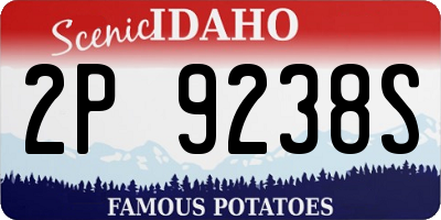 ID license plate 2P9238S