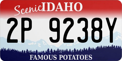 ID license plate 2P9238Y