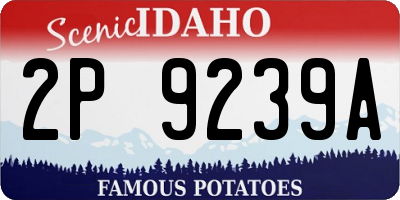 ID license plate 2P9239A