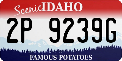 ID license plate 2P9239G