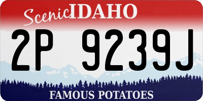 ID license plate 2P9239J