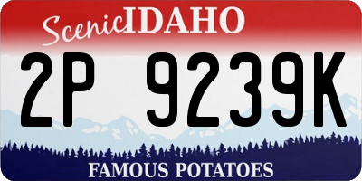 ID license plate 2P9239K